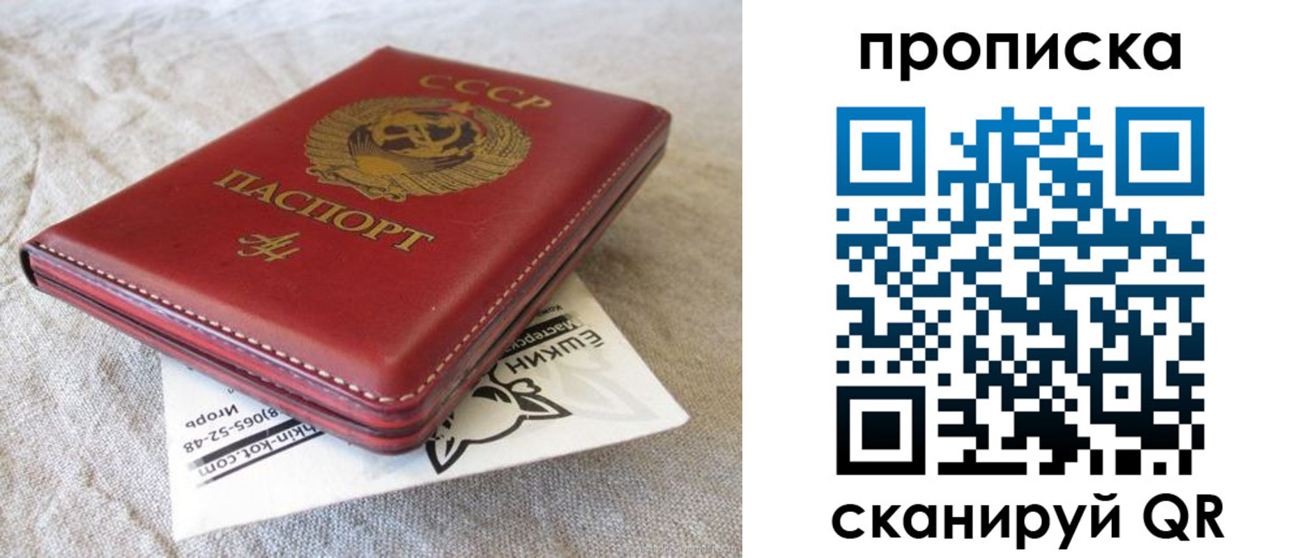 прописка для школы в Талдоме